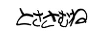 Authentication image