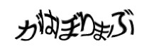Authentication image